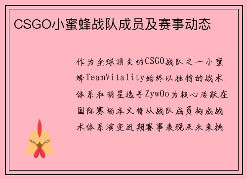 CSGO小蜜蜂战队成员及赛事动态