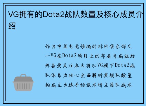 VG拥有的Dota2战队数量及核心成员介绍