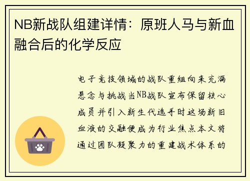 NB新战队组建详情：原班人马与新血融合后的化学反应